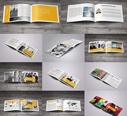 24页通用型商业画册indesign模板：Business Plan Brochure 24 Pages